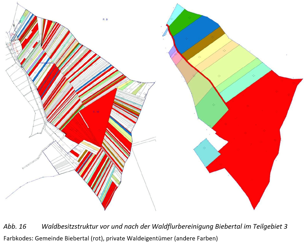 Waldflurbereinigung Biebertal 2004-2012 (Besitzfläche ca. 12 ha)
