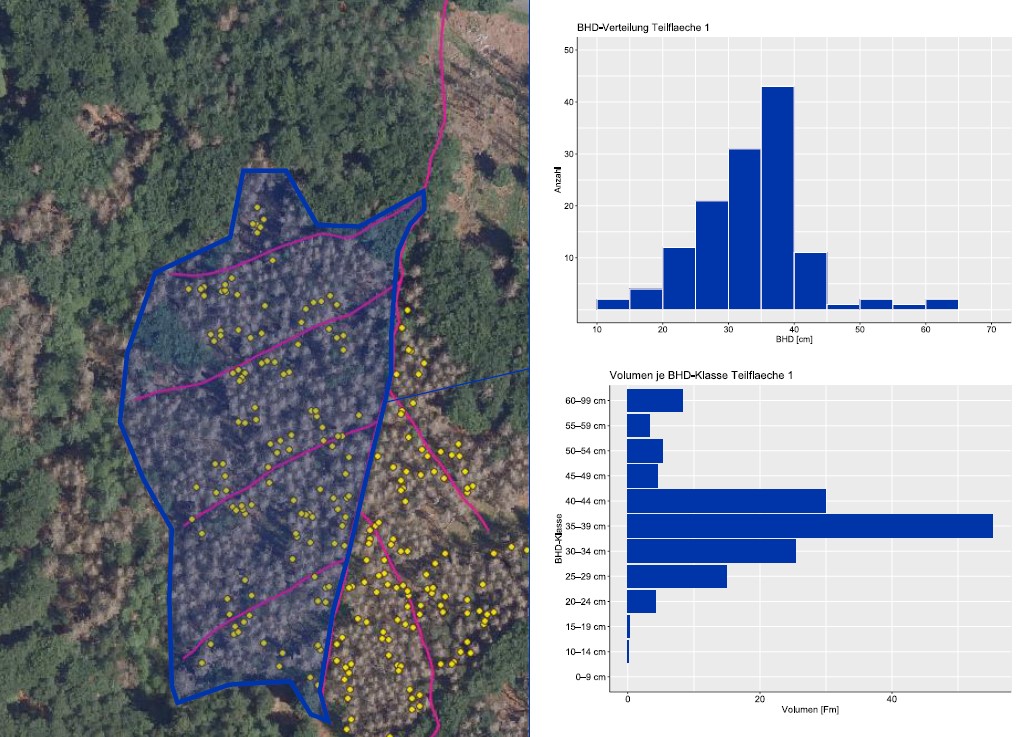 Data collection of a harvested forest stand