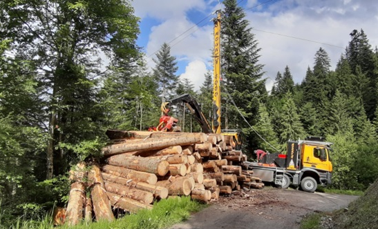 Timber harvesting with cable crane system