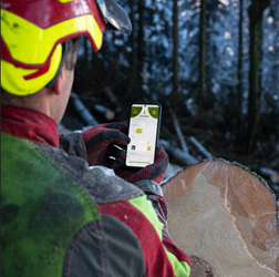 Erfassung Baumstandort mit App