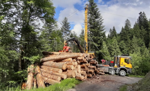 Récolte de bois avec une grue à câble