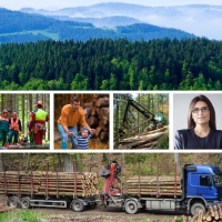 SIMWOOD Sustainable Innovative Mobilisation of Wood