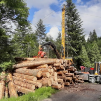 Landing site for cable crane timber harvesting Timber harvesting with cable crane system