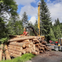 Timber harvesting with cable crane system